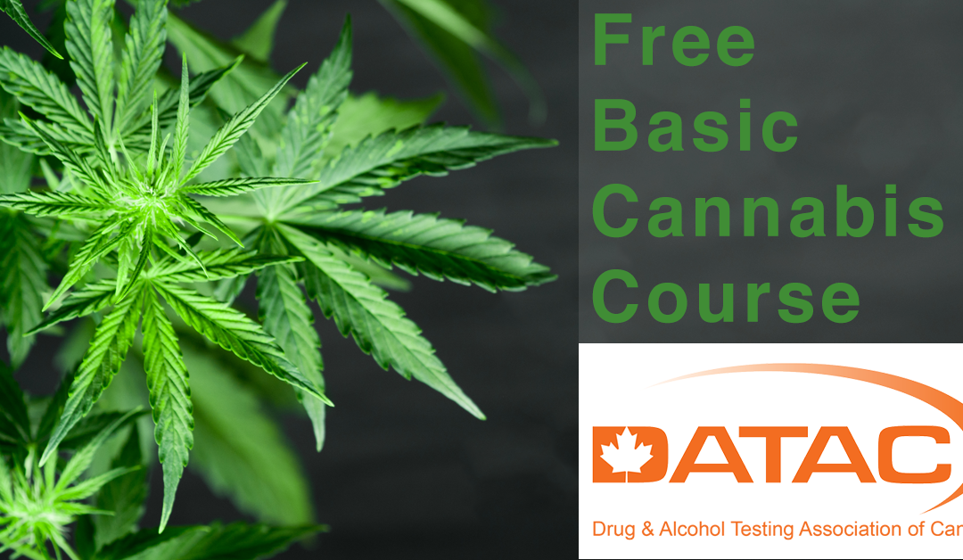 DATAC offers Free Basic Cannabis course