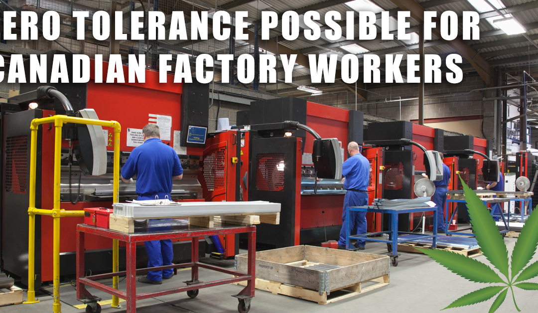 Zero tolerance possible for Canadian factory workers
