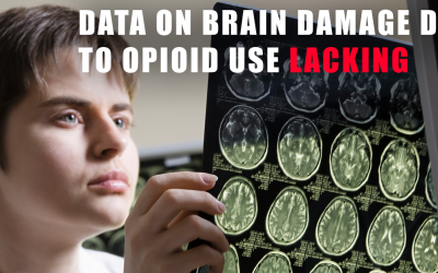 Data on brain damage due to opioid use lacking