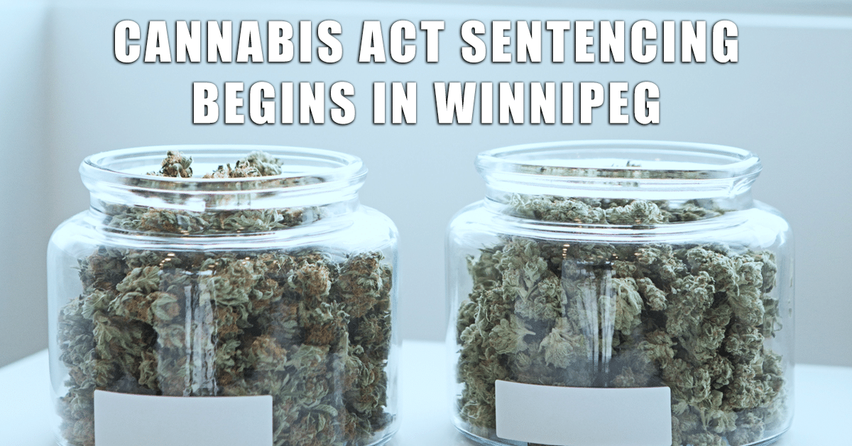 Cannabis act sentencing begins in Winnipeg