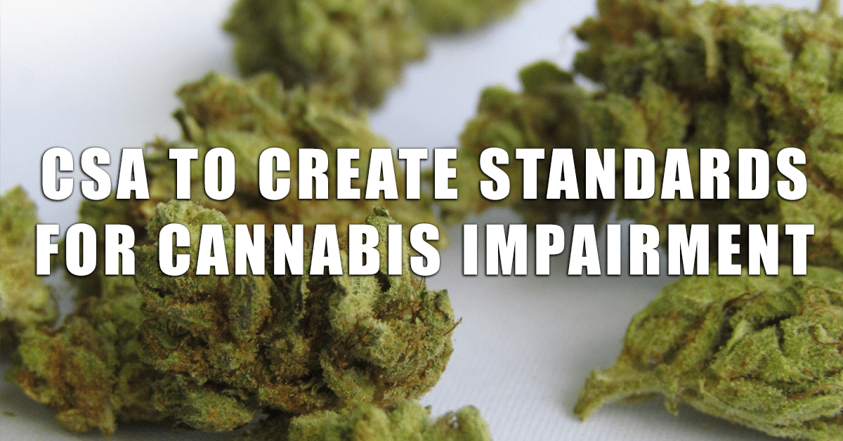 CSA to create standards for cannabis impairment