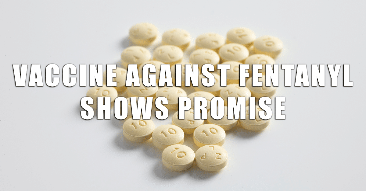 Vaccine against fentanyl shows promise