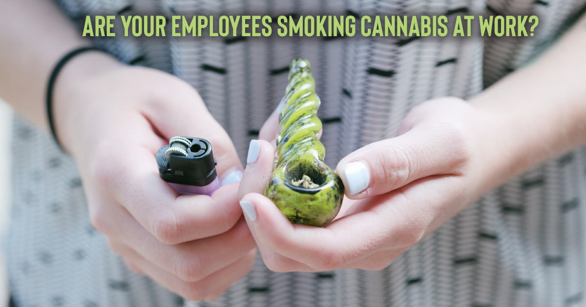 Survey says 8% of employers allow cannabis use