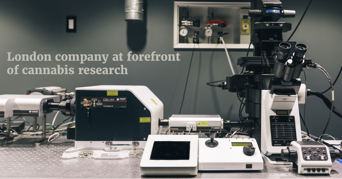 London company at forefront of cannabis research