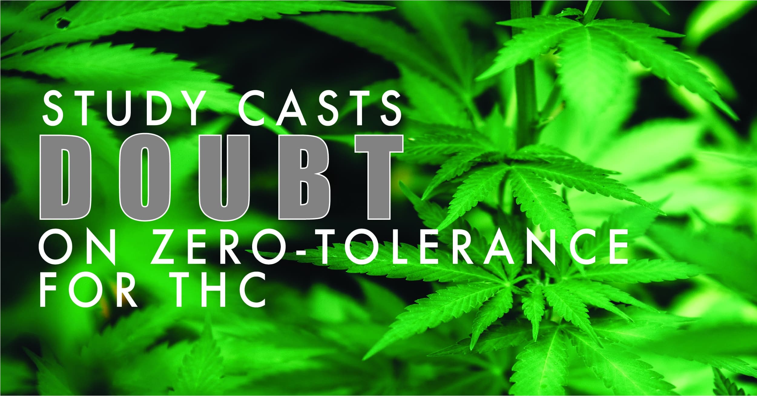 Study casts doubt on zero-tolerance for THC