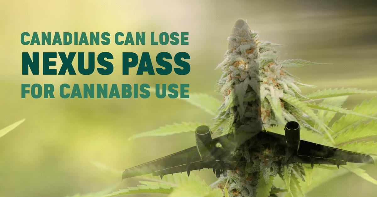 Canadians can lose Nexus pass for cannabis use