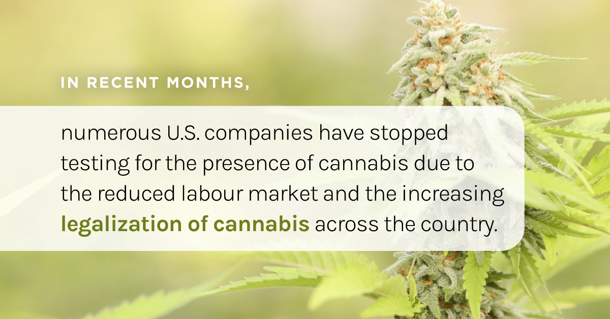 More American companies dropping cannabis from drug testing