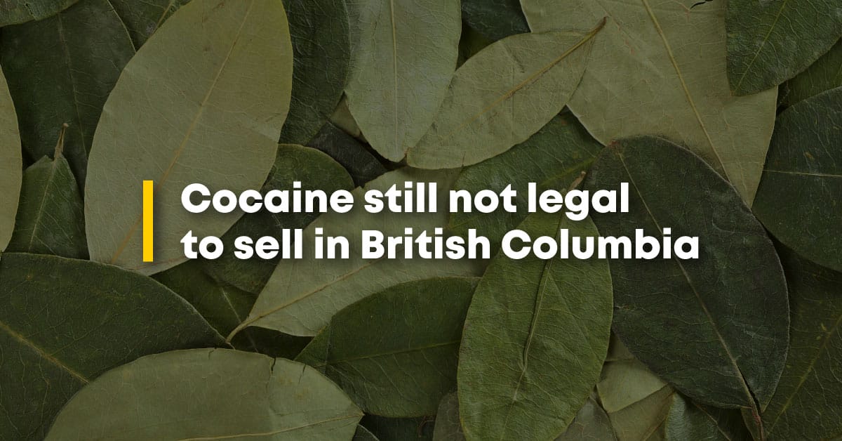 Cocaine approved for harm reduction in B.C., not public sale