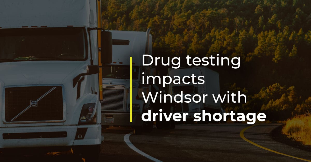 Transit Windsor experiences bus driver shortage