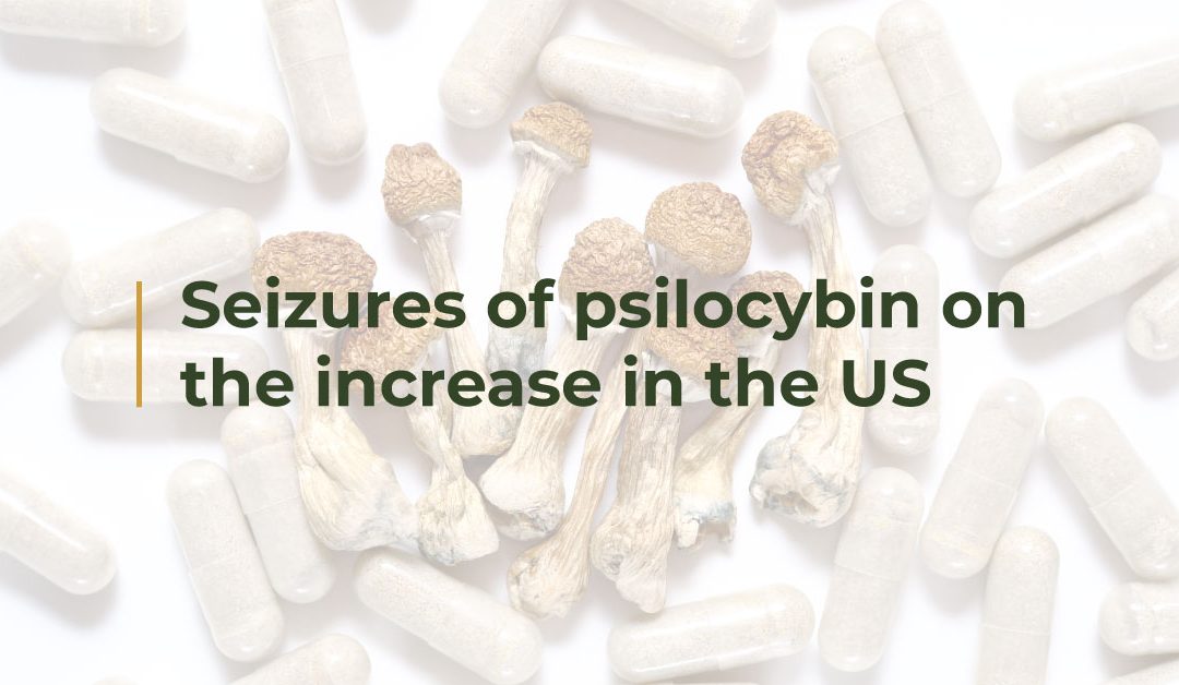 Magic mushroom seizures on the rise in the US