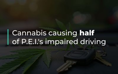 Over half of P.E.I.’s impaired driving charges have been cannabis-related in 2024