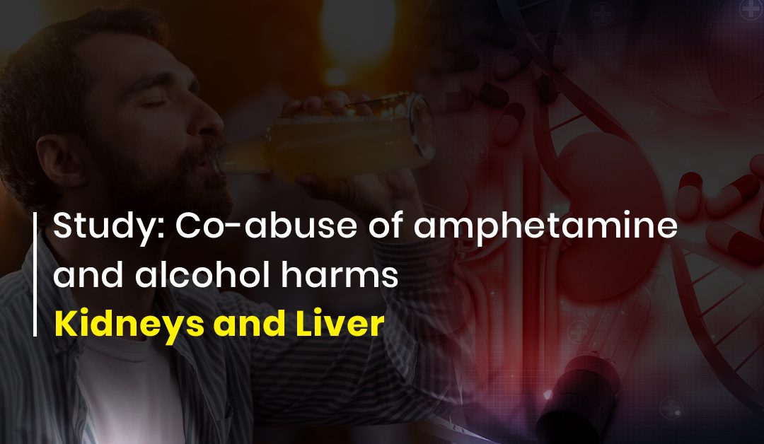 Co-abuse of alcohol and amphetamines leads to kidney and liver damage