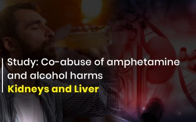 Co-abuse of alcohol and amphetamines leads to kidney and liver damage