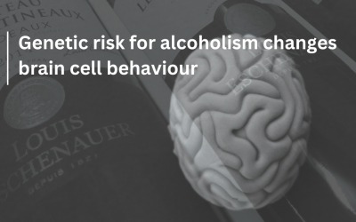 Genetic risk for alcoholism alters brain cell behaviour: New study