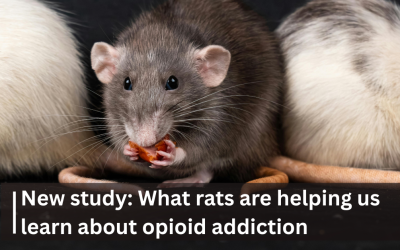 Genetics and heritability of opioid addiction: New study