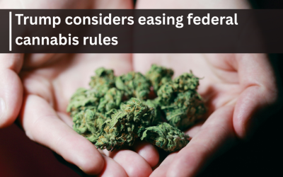 Trump considers easing federal cannabis rules
