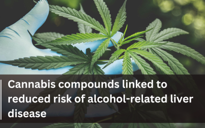 Cannabis compounds linked to reduced risk of alcohol-related liver disease