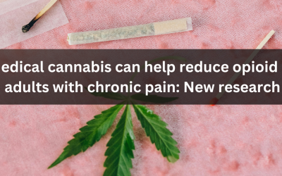 Medical cannabis can help reduce opioid use in adults with chronic pain: New research