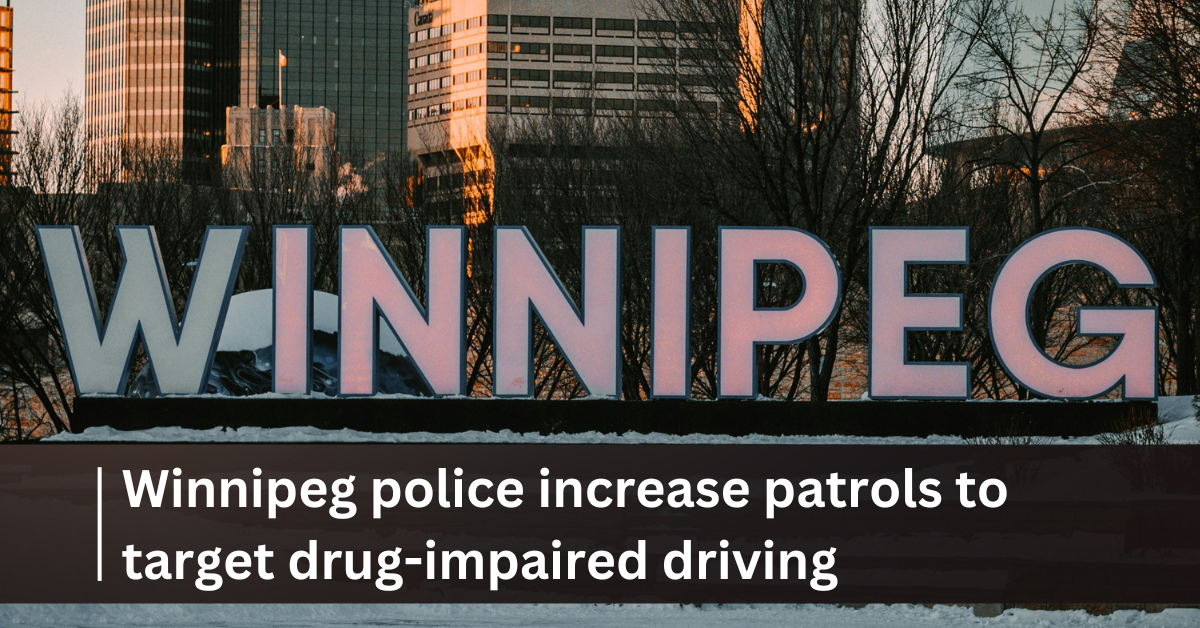 Winnipeg police increase patrols to target drug-impaired driving