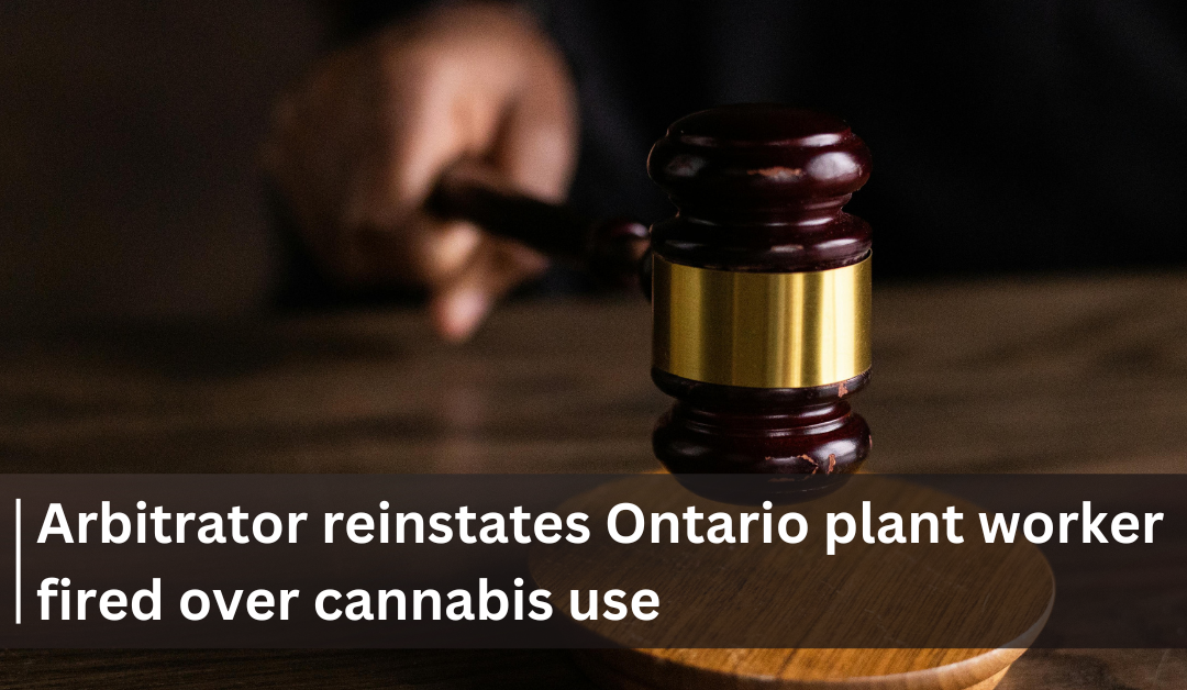 Arbitrator reinstates Ontario plant worker fired over cannabis use