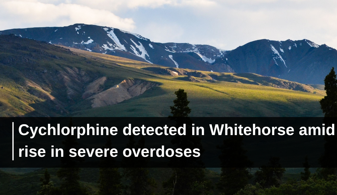 Cychlorphine detected in Whitehorse amid rise in severe overdoses