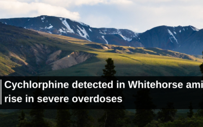 Cychlorphine detected in Whitehorse amid rise in severe overdoses