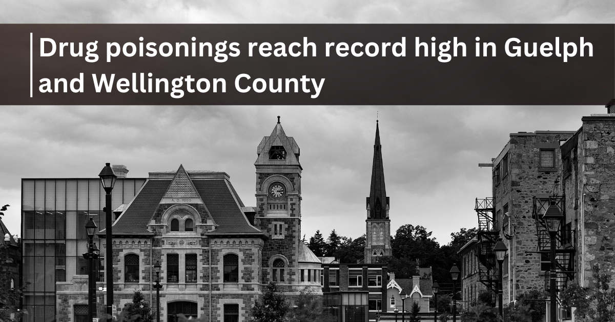 drug poisoning record high in guelph