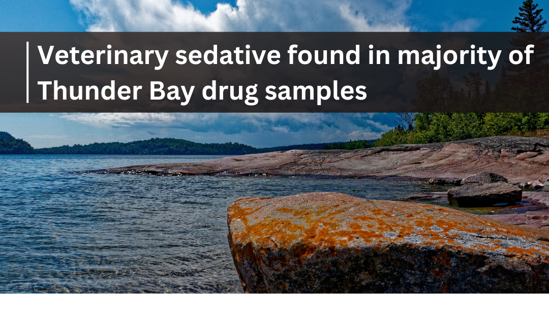 Veterinary sedative found in majority of Thunder Bay drug samples