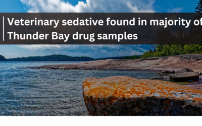 Veterinary sedative found in majority of Thunder Bay drug samples